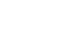BSS heavy machinery - Logo weiß